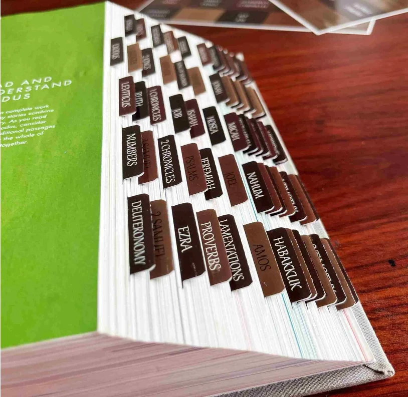 Christian Gift Repositionable Large Printed Bible Book Tabs