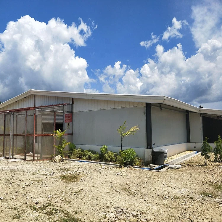 2024 Hot Selling prefab steel building automatic chicken house with egg cage