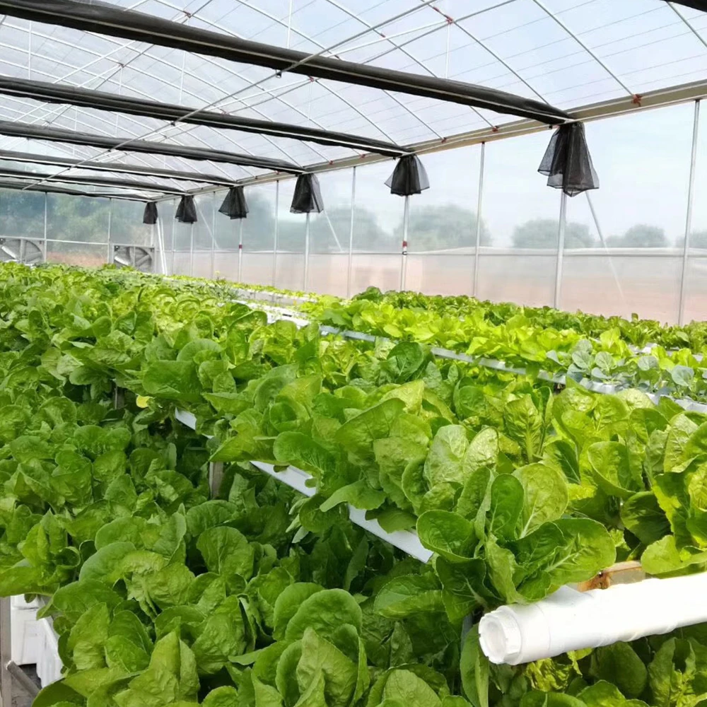 Производители промышленных гидропонных nft Систем ПВХ канальная система