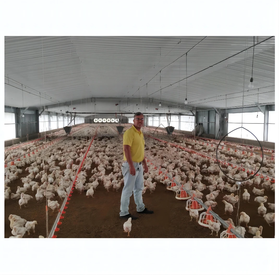 Hot Selling Cheap 2022 New Desgin Free Range Steel Structure Chicken House Shed Poultry Farm