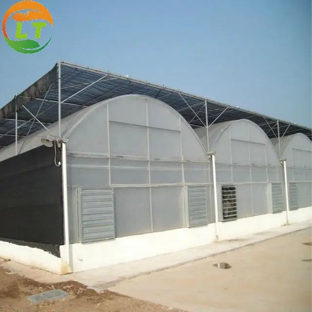 Plants growing Multi-span film greenhouse with galvanized square steel pipe