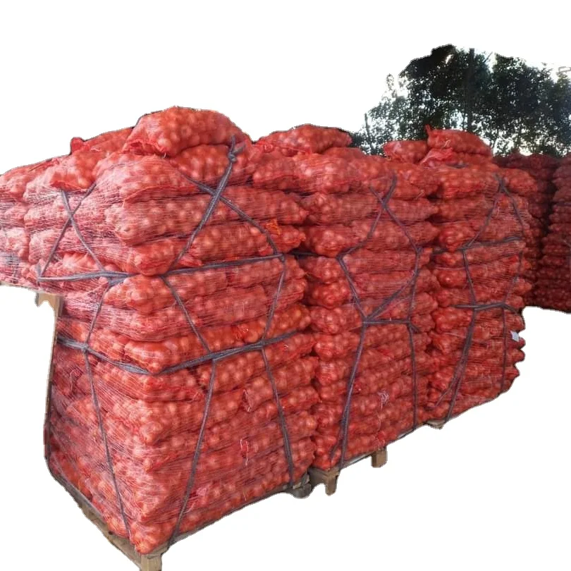 High Quality Fresh Yellow Onion/ Red Onion With Cheap Price Per Ton From Fenduni - New Harvest