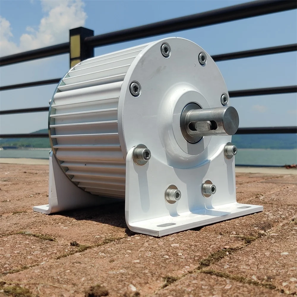 Overseas Warehouse Single Shaft 800W/1KW Free Alternative Energy with Excellent Quality Alternator Generator