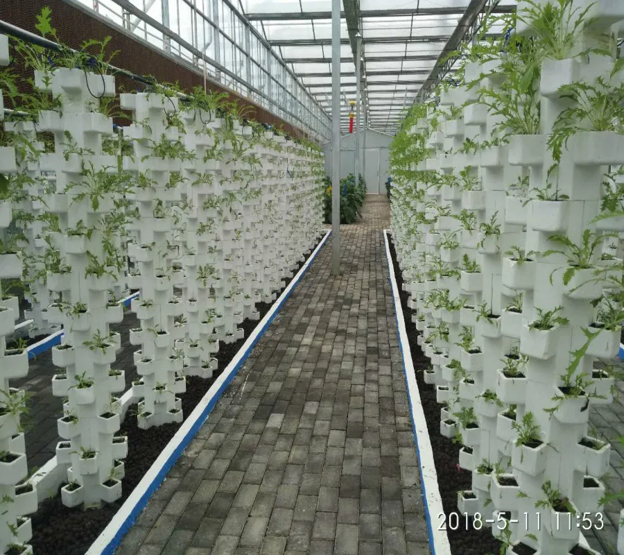 Hydroponic System Glass Greenhouse with Automatic Climate Control