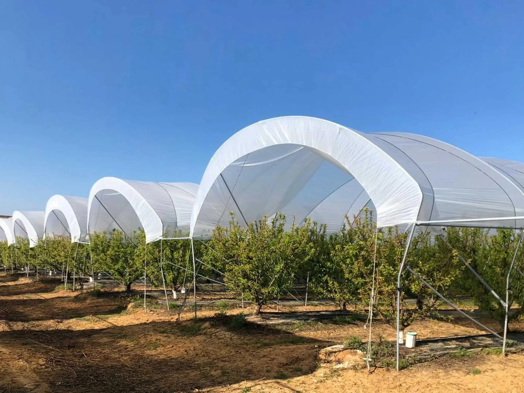 Plastic Cover Tunnel Film Green House for Outdoor Planting Grow Tent with Hydroponics System Rain Shelter Greenhouse