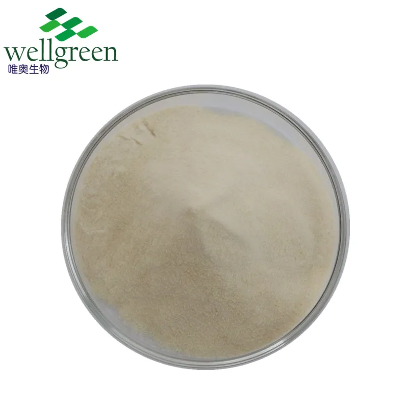 
Dha Powder dha powder australia Schizochytrium Algae DHA Powder 