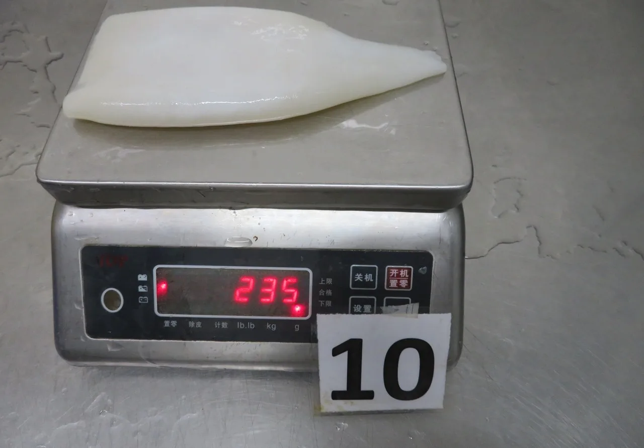 ningbo inspection service promotional products