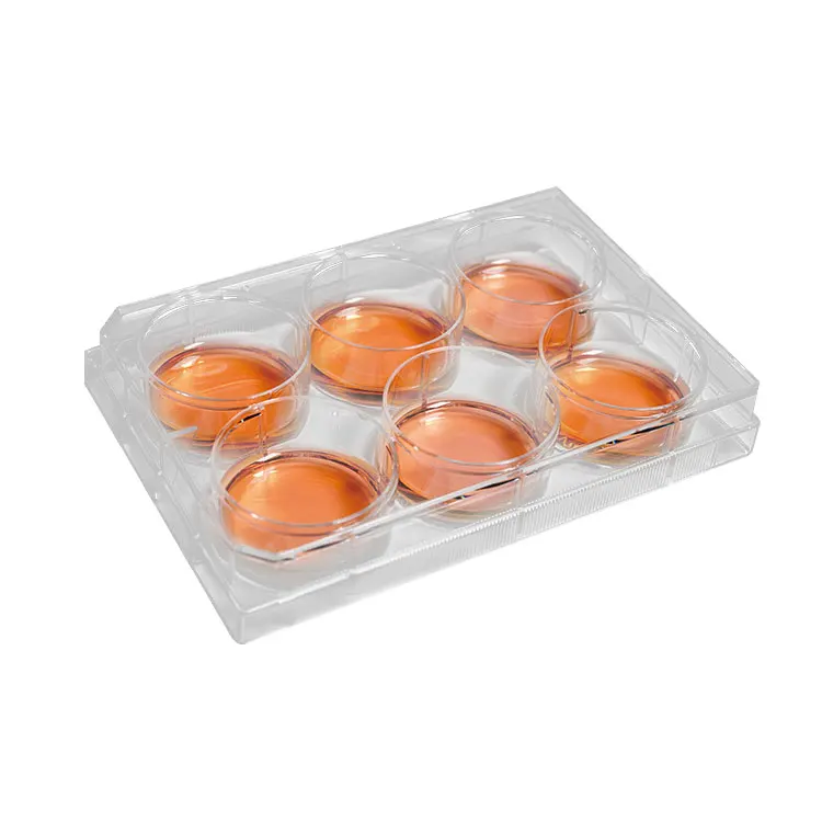 plastic Sterile 4 6 12 24 48 96 384 wells Tissue Culture Plate cell culture plate for lab
