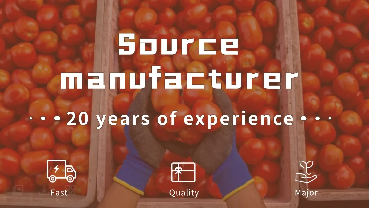 ketchup tomato paste Private Label Accepted Halal Wholesale Bulk Tomato Ketchup Sauce