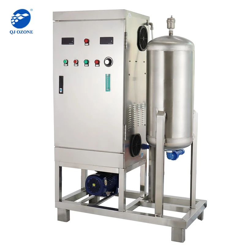Quanju CE 100g ozone water machine for horticulture watering, ozone for agriculture irrigation