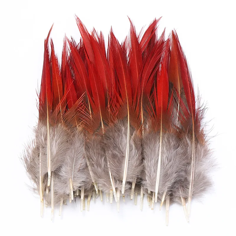 Natural Feathers Assorted Mixed Feathers for Jewelry and Dream Catcher Crafts