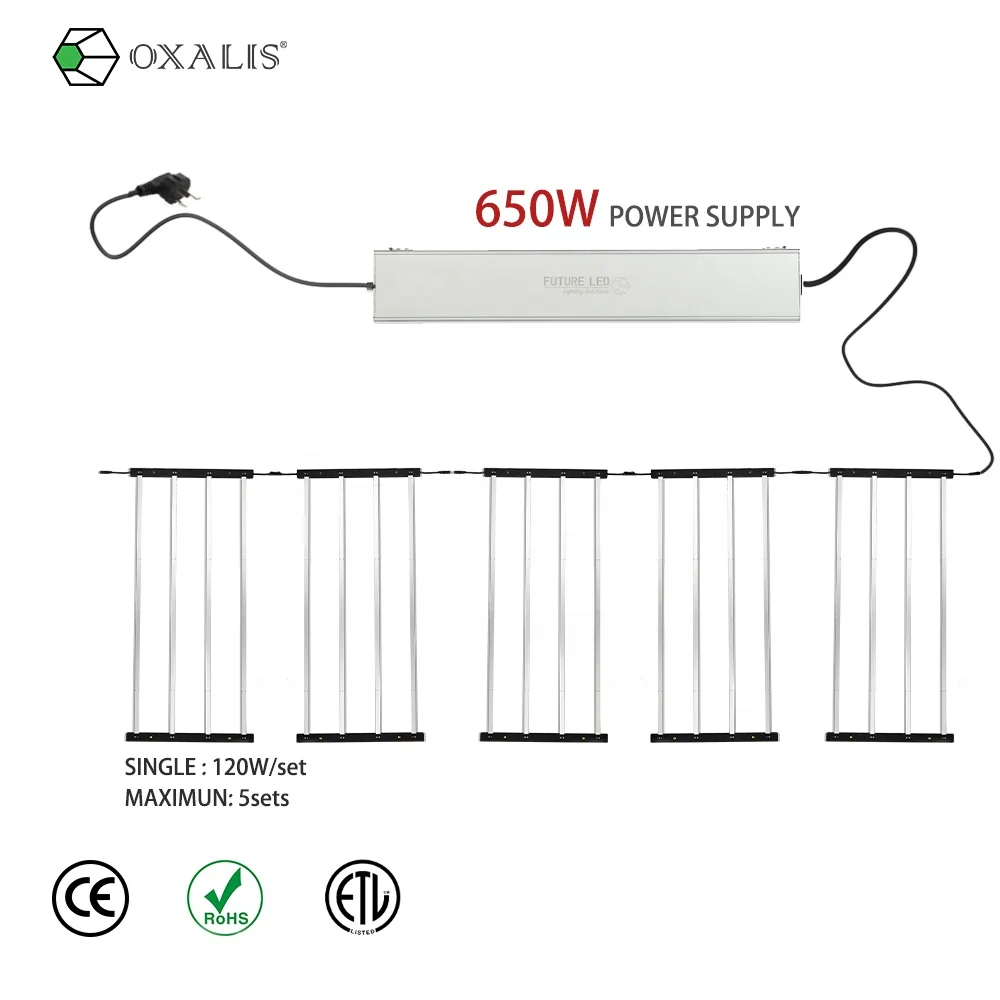 
New Design Led Grow light Instead of T5 Veg Seedling Plant Growing for Vegetables Tomatoes Lettuce 
