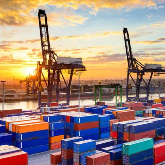 DDU/DDP service sea freight forwarder shipping to USA/Europe/Southeast Asia from China with door to door service