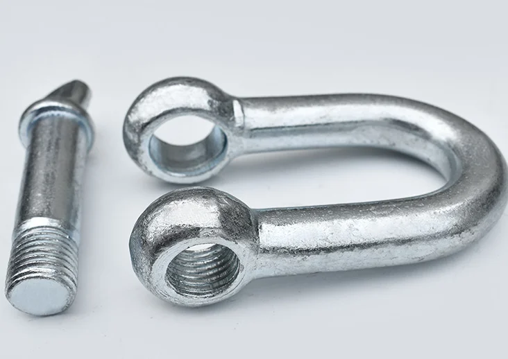 High Quality Marine Hardware D Shackle HDG Anchor Shackles