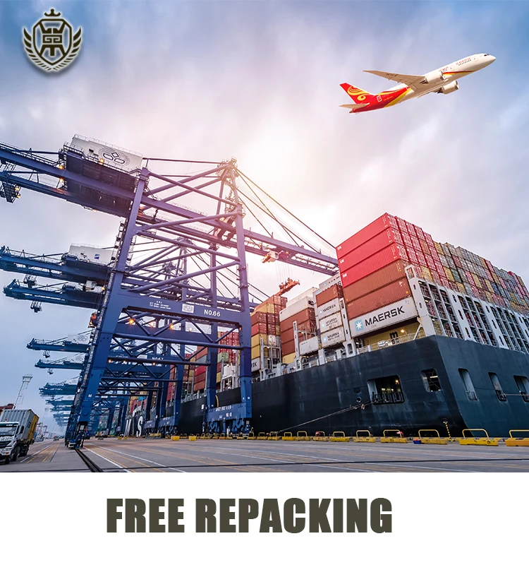 Cheap Electronic Air/Sea Ddp  Freight/Dhl Express Shipping China To France