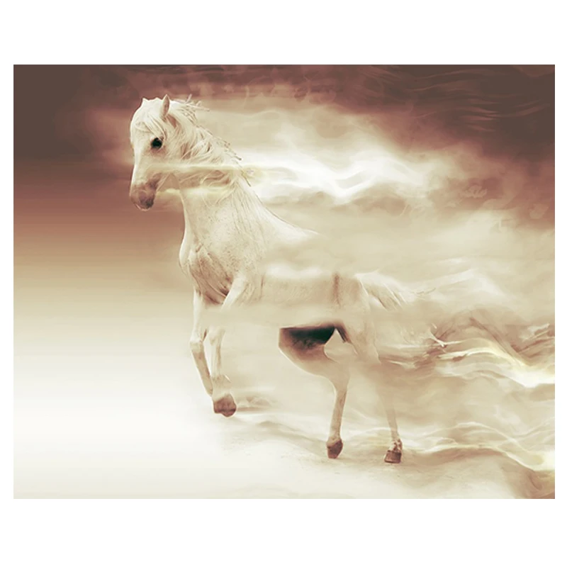 
QIQI GIRL 40x50 custom Full Diamond Painting Art 5D Square Round Animal White Horse Embroidered Mosaic home decor 