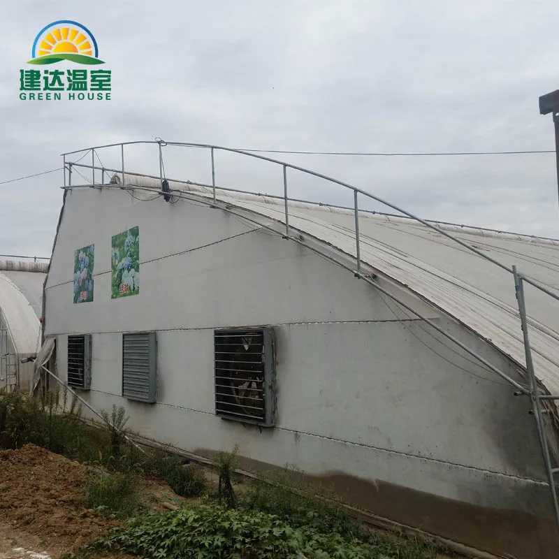 Special for cold areas warm greenhouse Agricultural quilt Greenhouses to planting strawberry  in winter