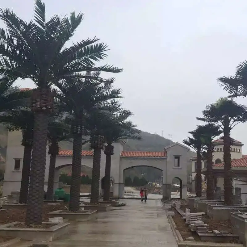 Outdoor Anti-ultraviolet Long Life Artificial Evergreen Plants Trees Decoration Artificial Palm Tree