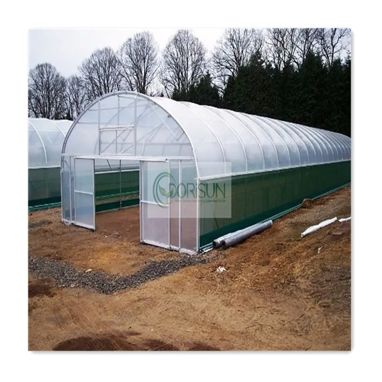 Dorisun Modern Complete 100 Square Meters Tall Large Tomato Farming Smart Greenhouse Equipment For Plants