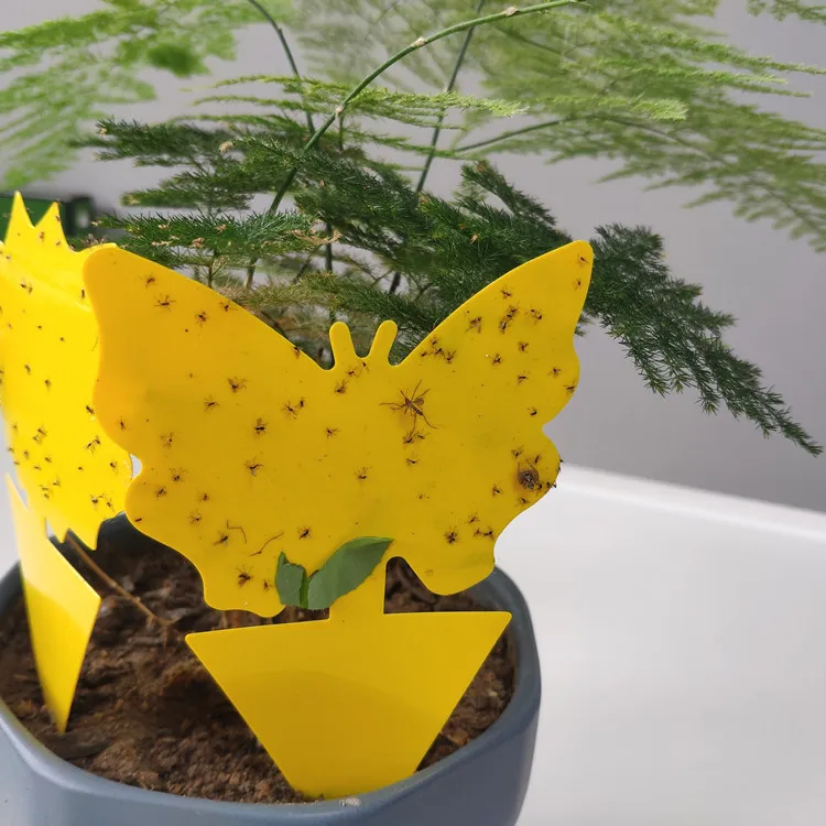 Strong Flies Sticky Traps Bugs Sticky Catching Aphid Insects Pest Killer Outdoor Fly Board Bait Flies Double Traps Sticker