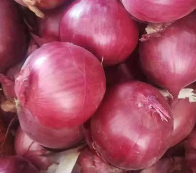 Fresh high quality 10kg/20kg Mesh Bag red peeled Onions