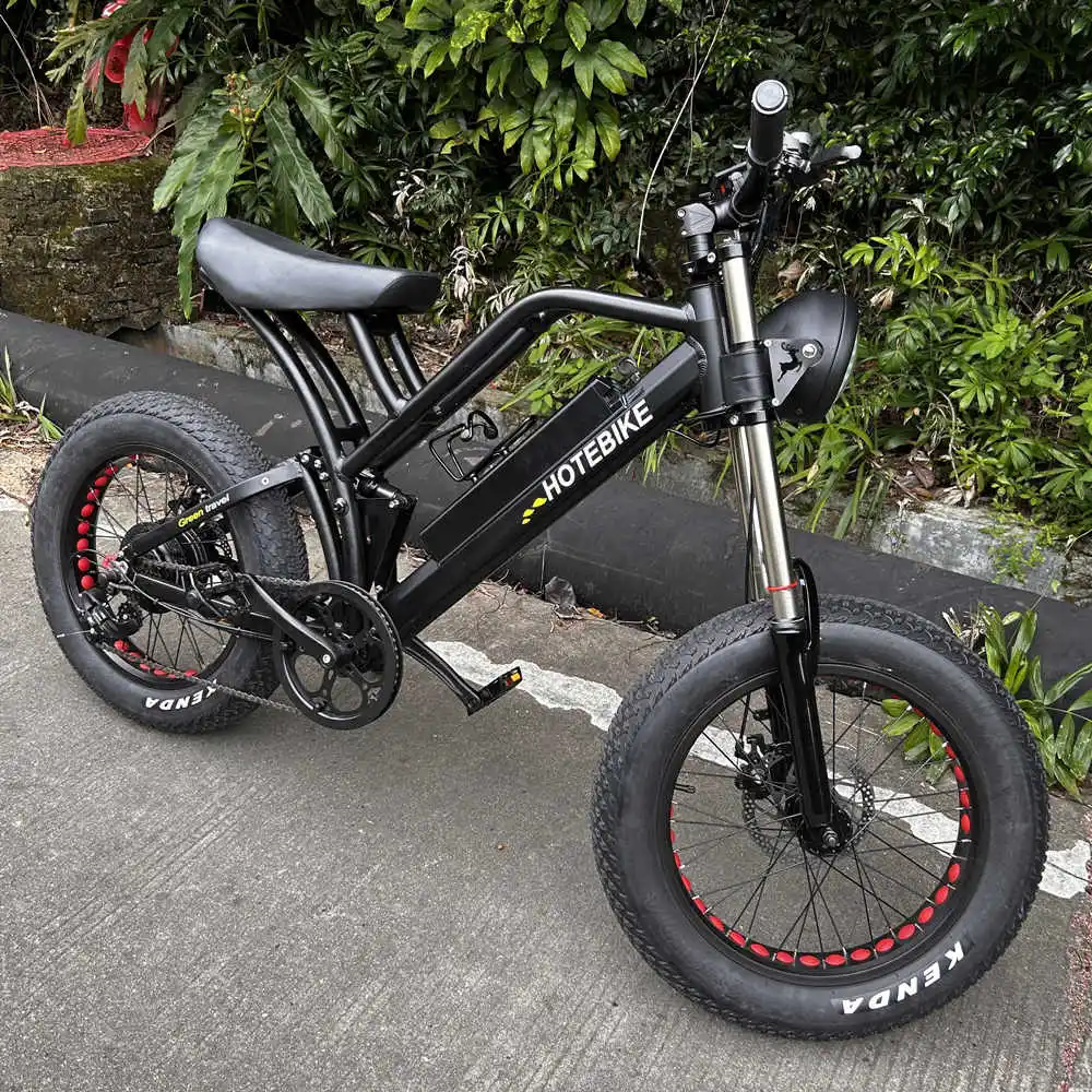 cheap Chinese factory price adult fashion new design electric bicycle battery electric bicycle/dirt bike electric