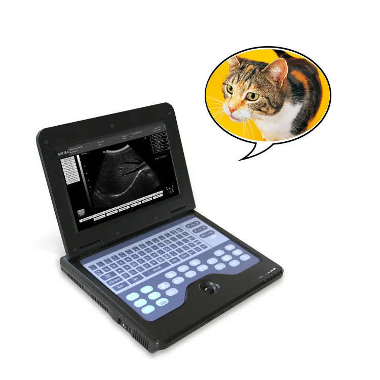 Portable vet clinic veterinary  ultrasound scanner veterinary  medical equipment