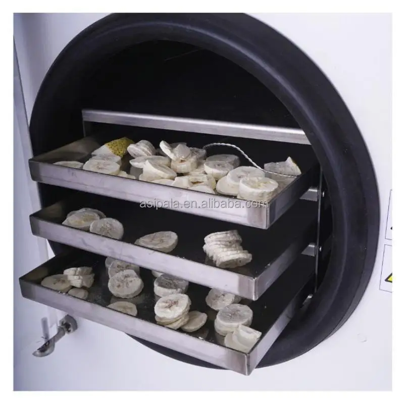 Fresh Fruit Mango Durian Freeze Drying Dried Machines