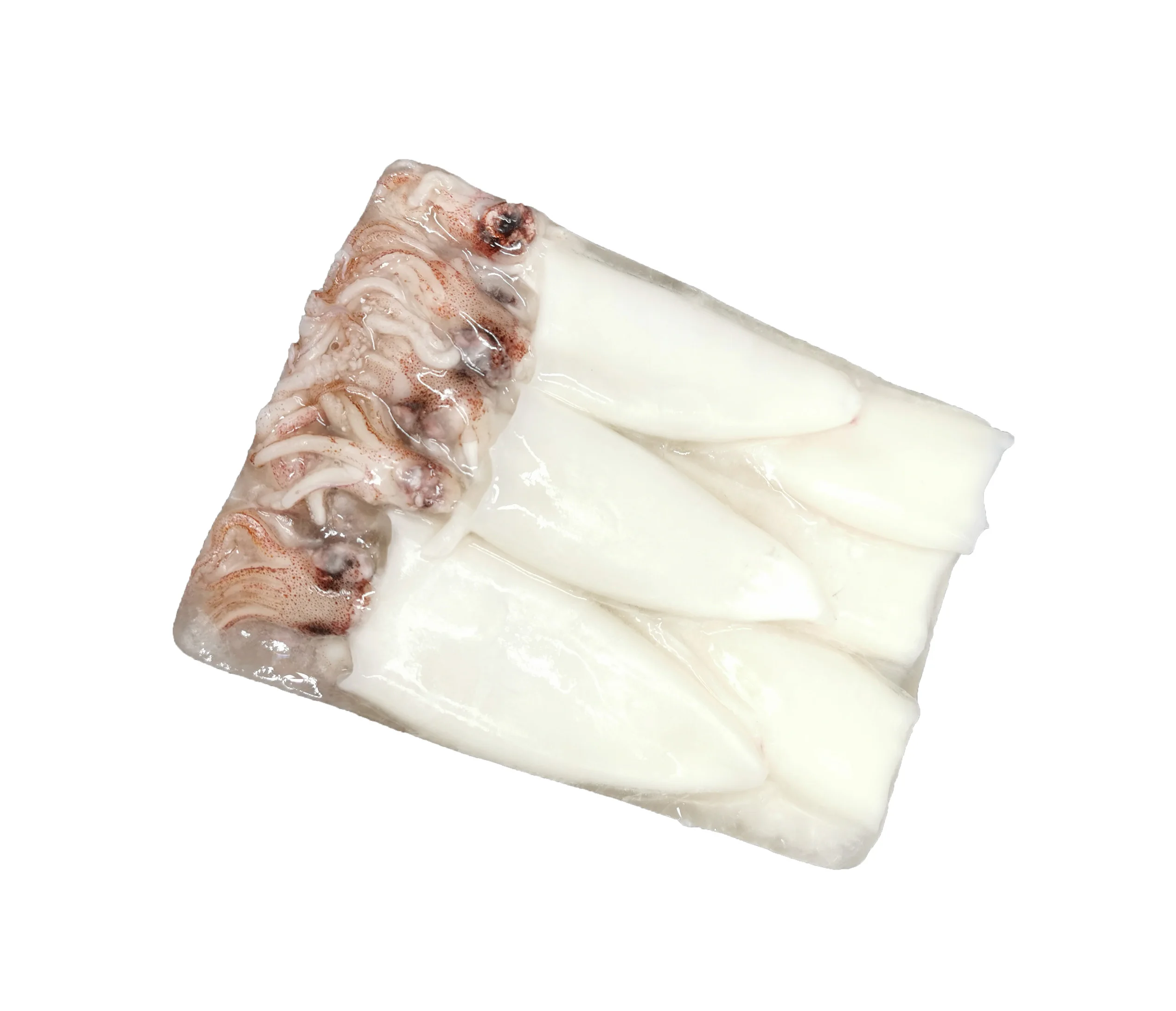 BQF baby squid  good price frozen loligo squid  on sale