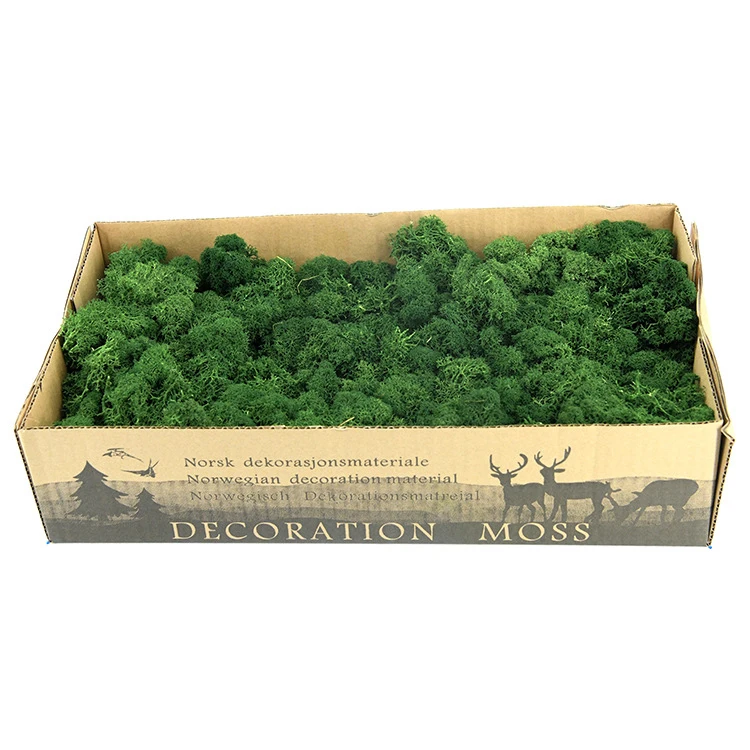 Artificial Greenery Mosses Grass For Landscaping Decoration