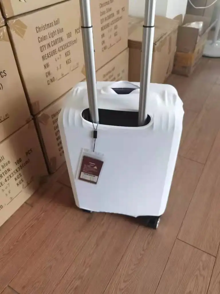 luggage cover 1 (11).jpg