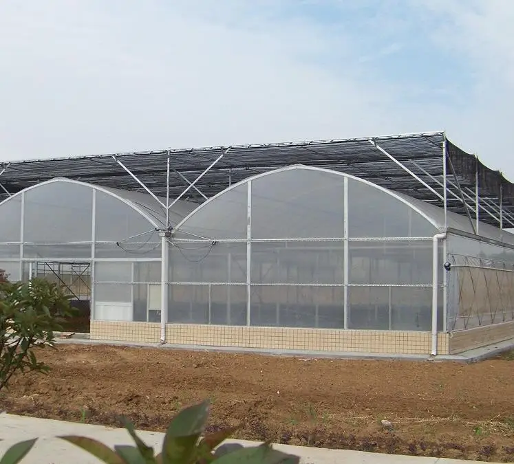 Container Multi span Film Mushroom Plastic Multi-Span Commercial Farm Equipment Polyhouse Agriculture Greenhouse