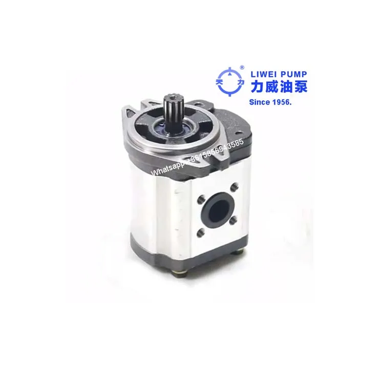 Since 1956 Forklift Spare Parts Hydraulic Pump for Linden 1283 HT30DS 0009812512