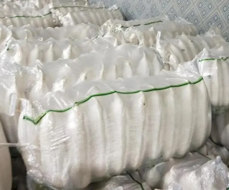 New season daikon radish vegetable CIF offer China