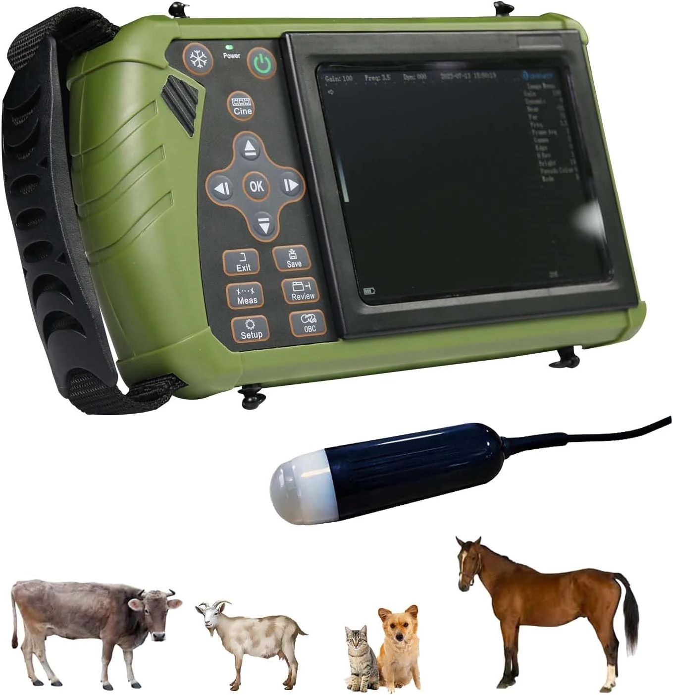 Normal Kidney Size Ultrasound Prostate Bladder Stones Urinary Uterus Gallbladder Lymphoma Spleen Myelolipoma Dog Scanner