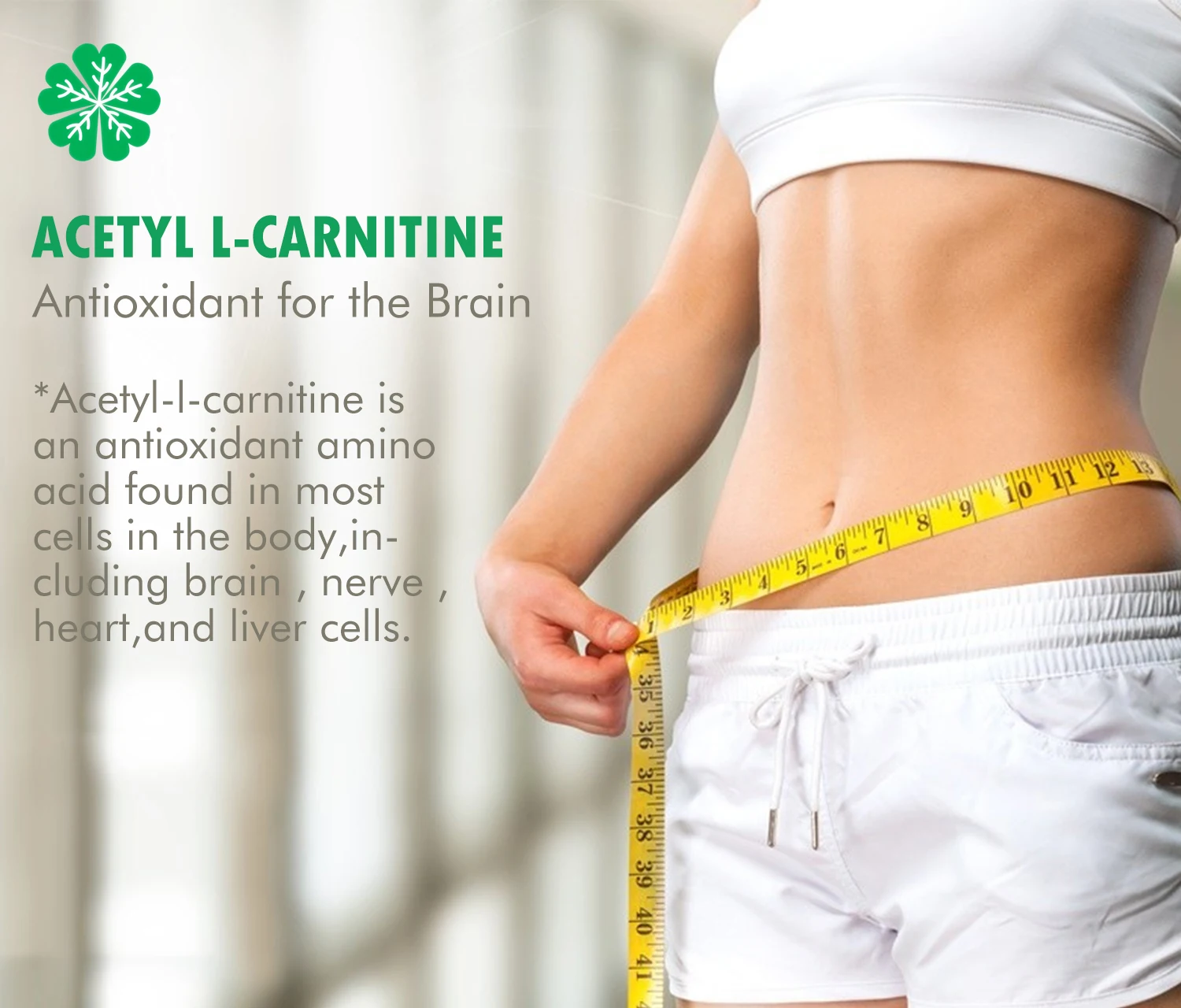 OEM natural L-carnitine capsule slimming supplement fat burning slim capsule