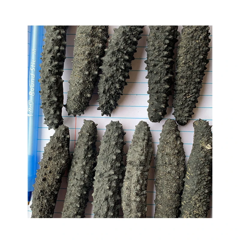 Сушеный морской огурец polii tubulosa, греческий морской огурец