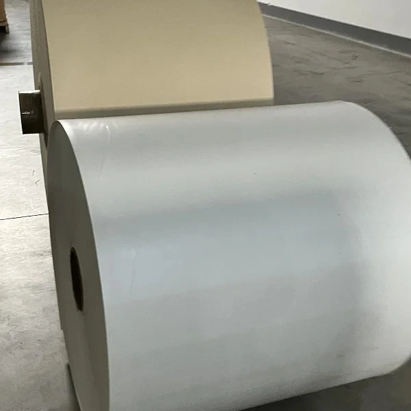Factory DIrect Sell PLA/PE Coated Paper Rolls Raw Material for Paper Cups