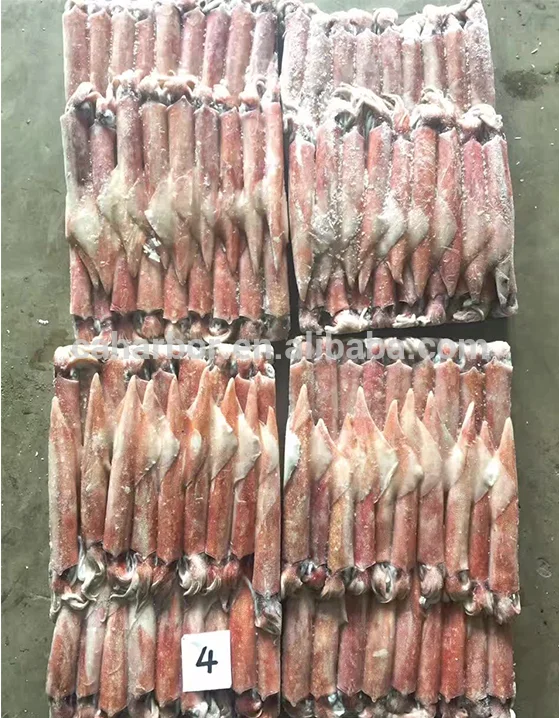 Block Frozen Indonesia Squid Scientic name of Todarodes Pacificus