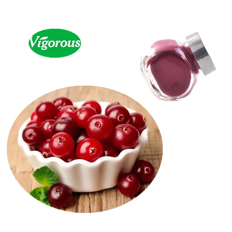 organic Cranberry Extract Vaccinium macrocarpon powder