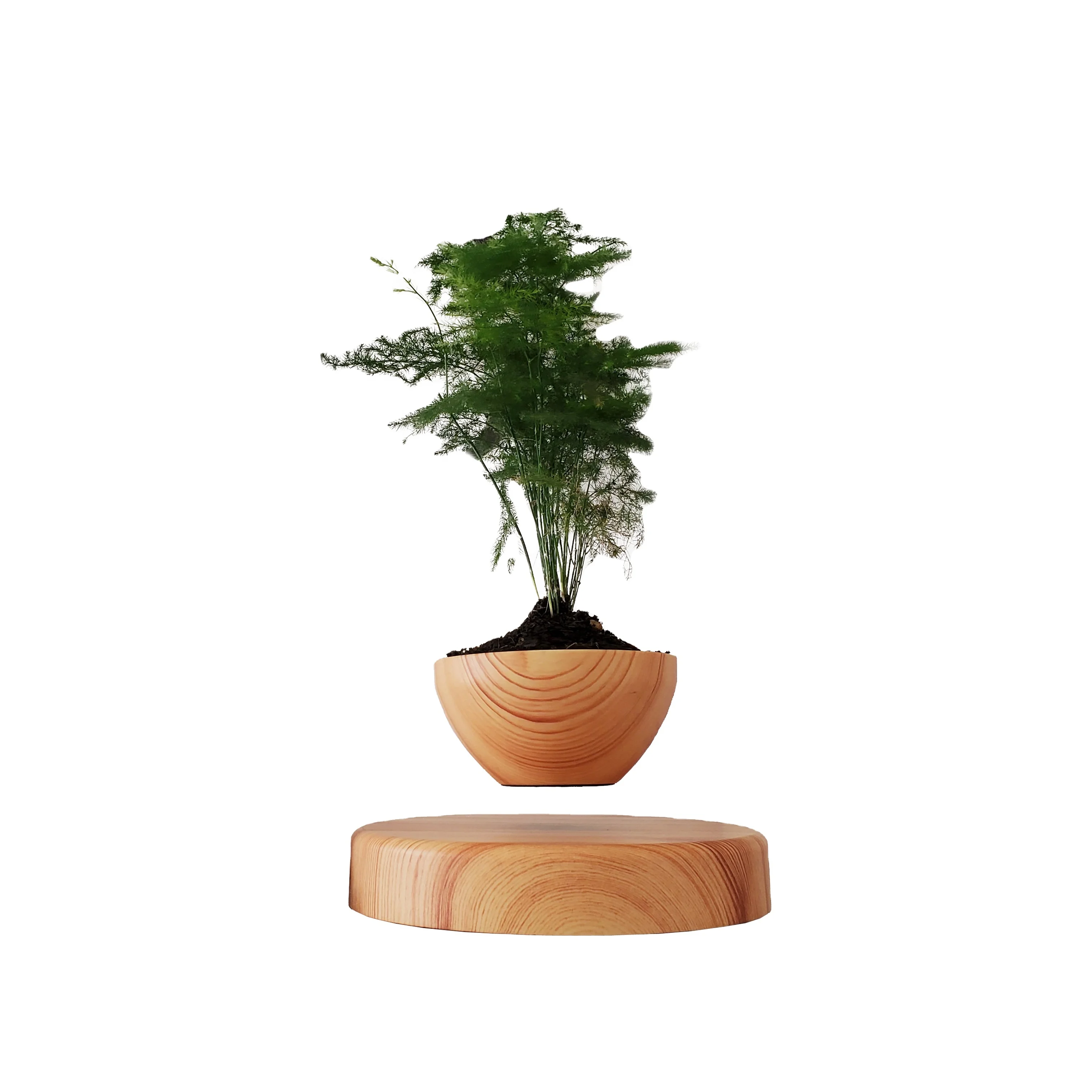 HCNT Magnetic Levitating Wooden Bonsai Floating Flower Pot Modern and Creative Gift for New Year&Birthday or Indoor Decoration