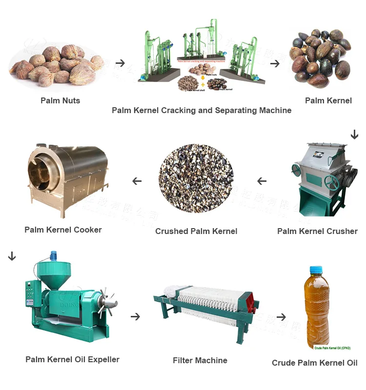 advanced technology  palm kernel oil making machine