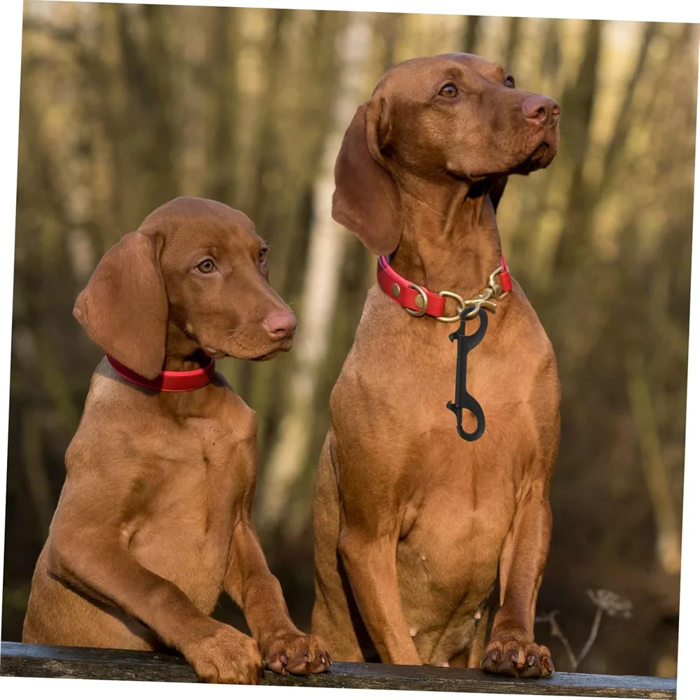 304 316 Stainless Steel Spring Hook Double End Hook Trigger Dog Swivel Snap Hooks