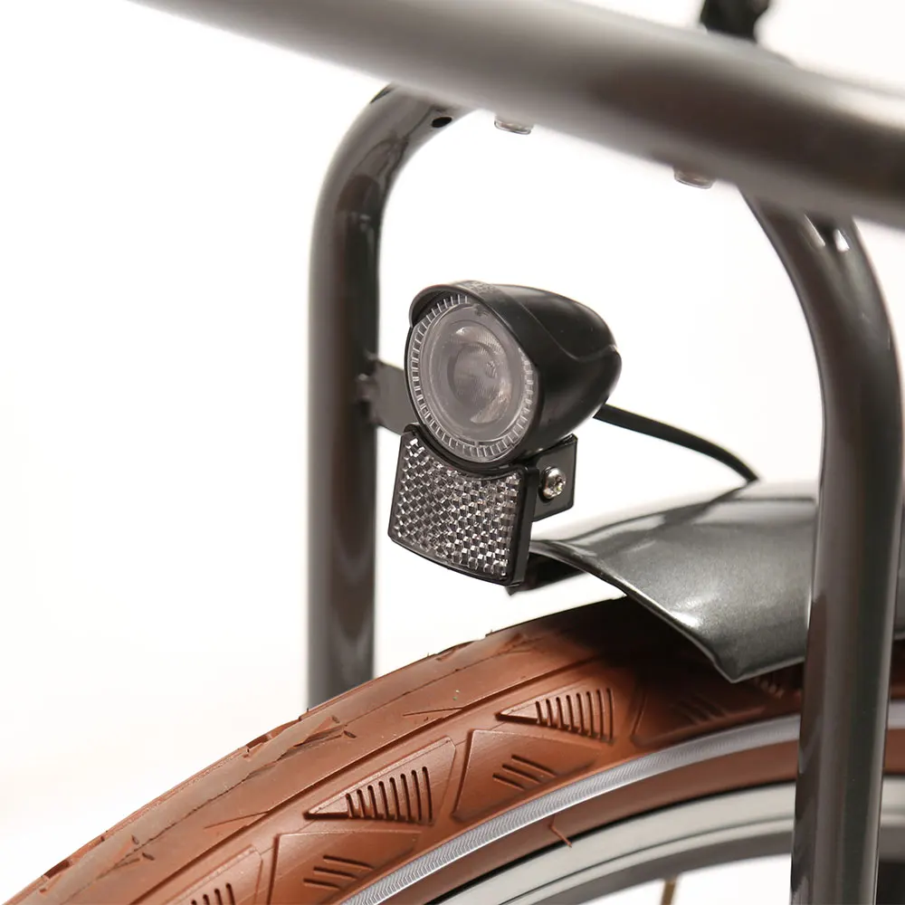 TXED 28 inch Amsterdam  inner 3-speed electric bike 250W  Lithium battery Electric City Bicycle