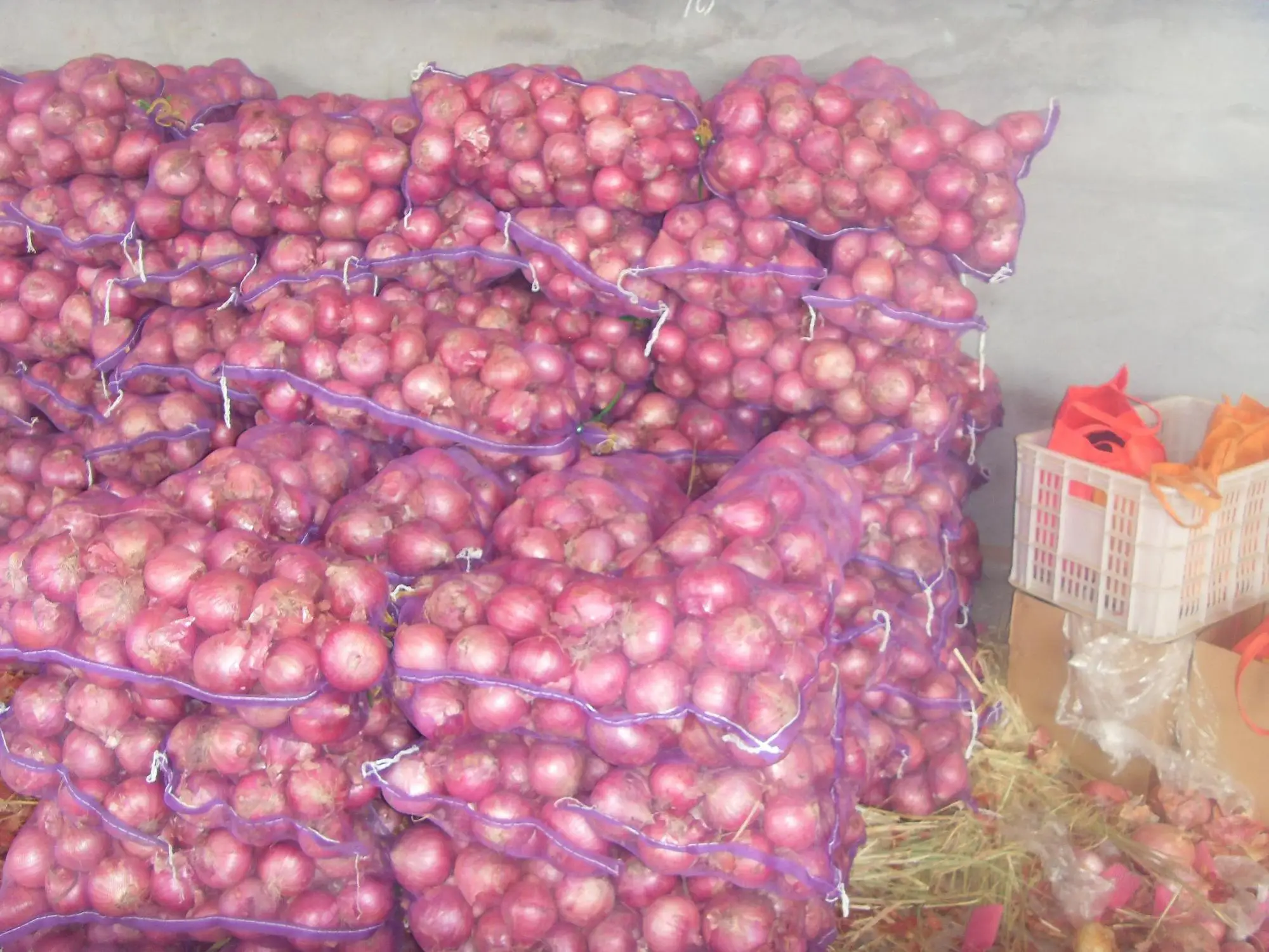 Red/yellow onion fresh wholesale price pack in mesh bag