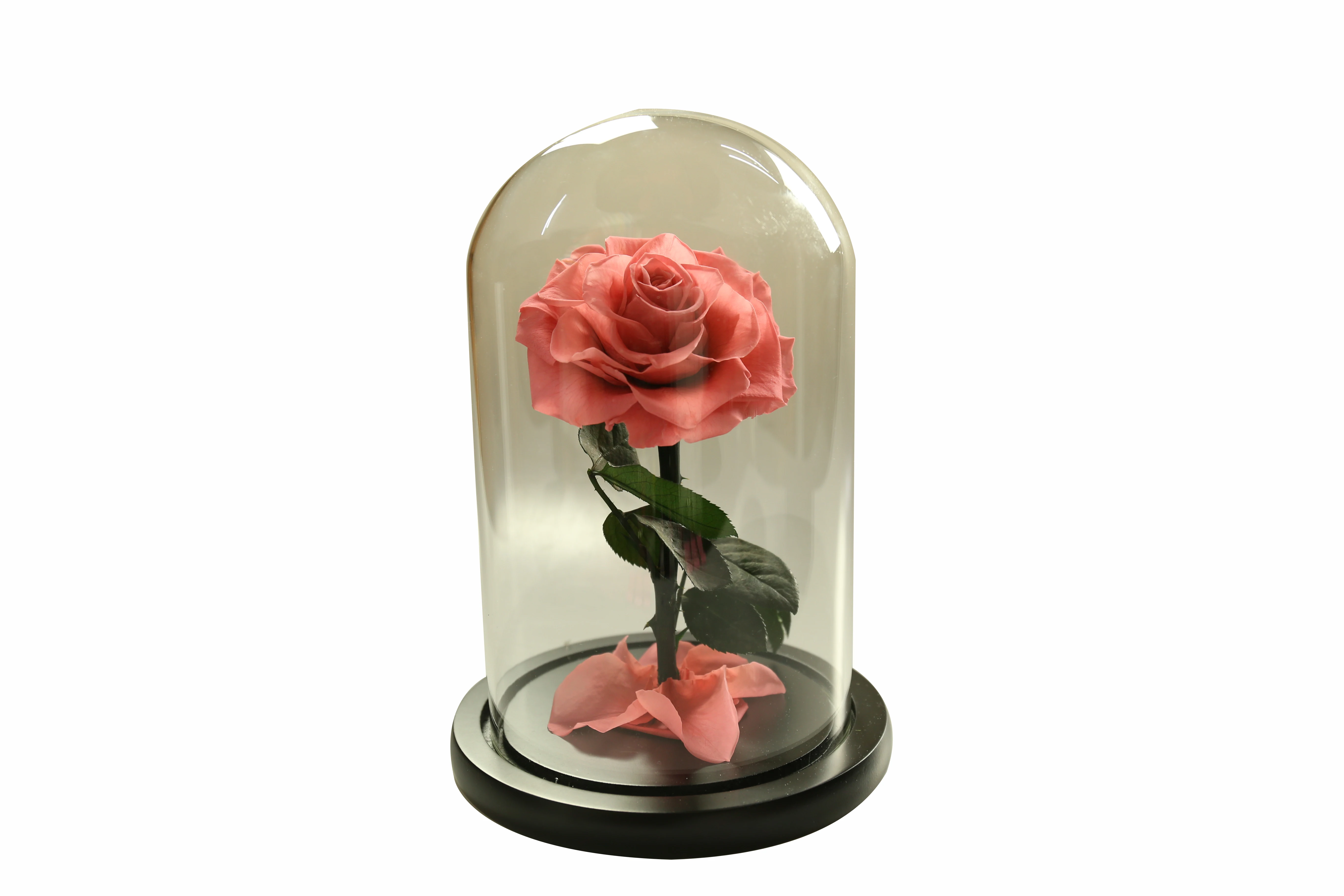 Drop shipping Stabilized Preserved Flower Bouquet Gift Box Christmas Gift Rose Flower sunflower best ideas Gift flower orchid