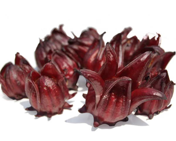 Factory bulk Wholesale Ashwagandha Extract Powder 2.5% 5% 8% 10%  Withanolide 9:1 10:1 Ashwagandha Root raw material good price