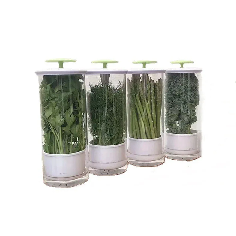 High Quality Breathable Borosilicate Glass Herb Keeper