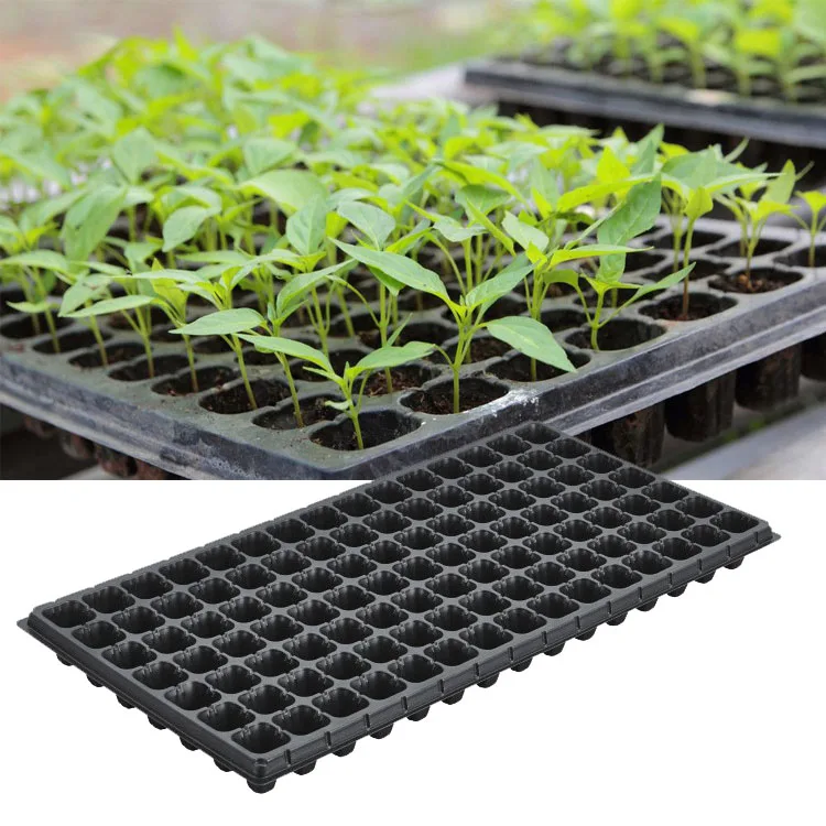 Black High Quality Germination Vegetable Seed Tray Flower Nursery Seed Tray Propagator Durable