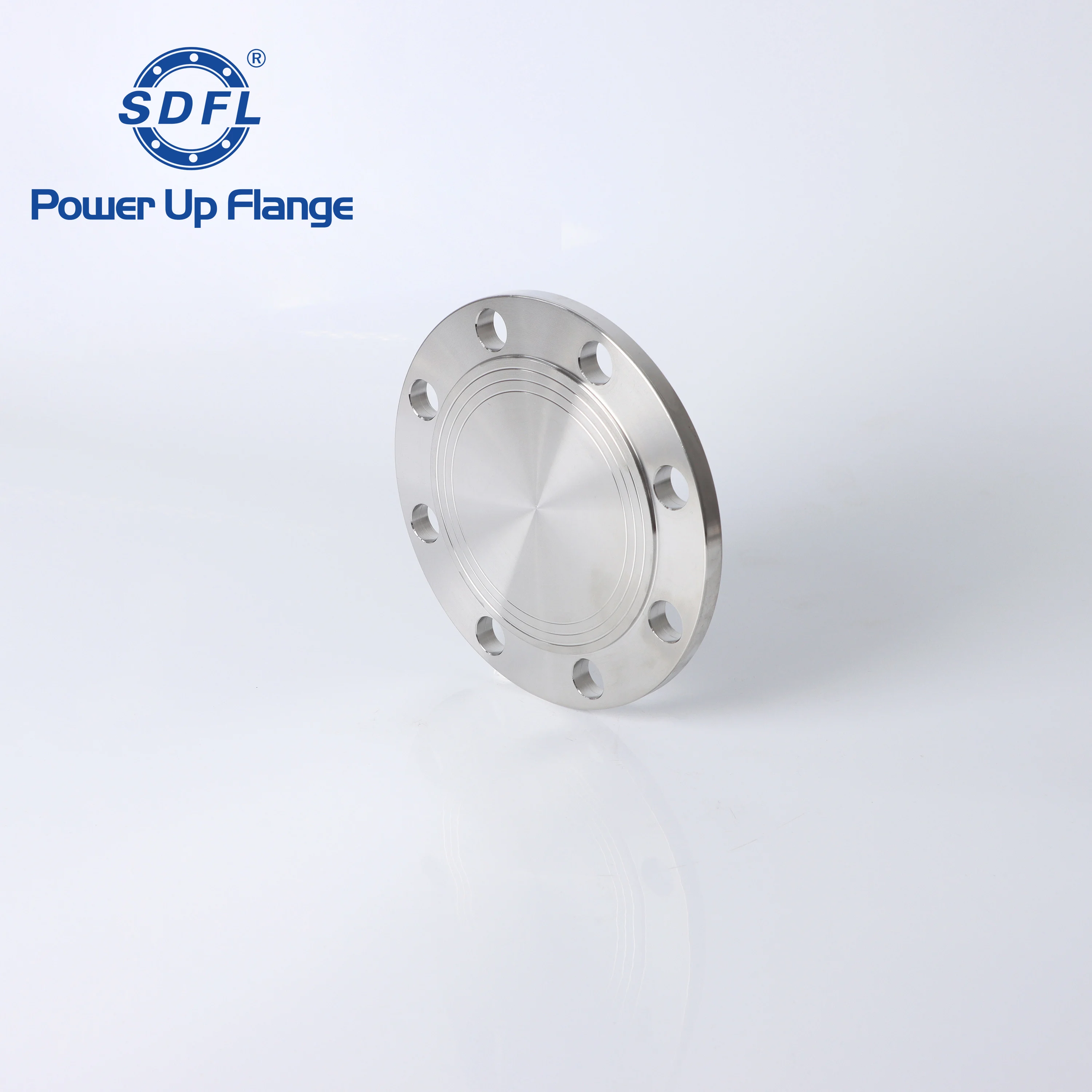 JIS 10K Raised Face Flange Cover 316 Stainless Steel Blind Flange